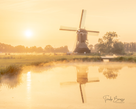 Golden hour .. 