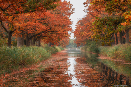 De herfst kleurt de natuur