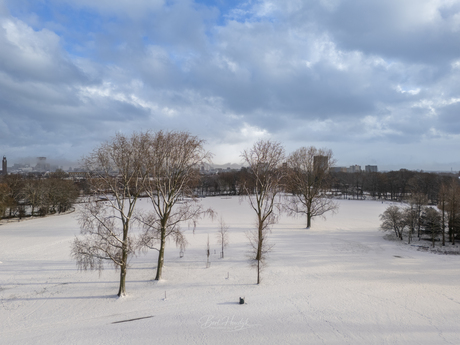 Winterlandschap 