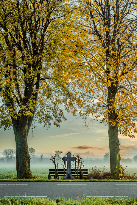 Herfst kleuren