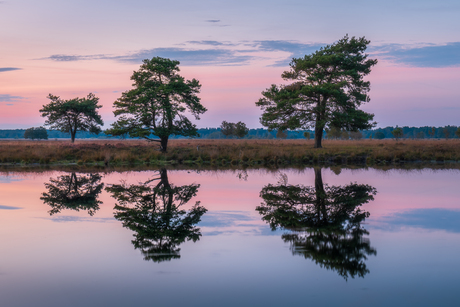 Weerspiegeling.