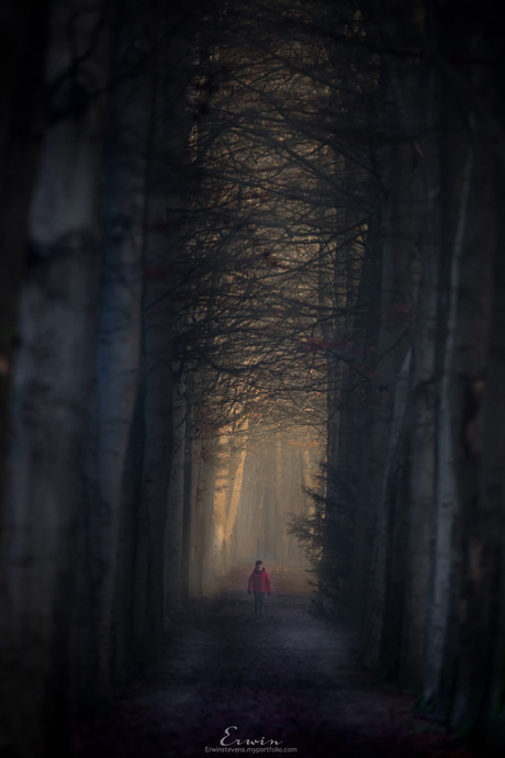 Kleine man in het grote bos.