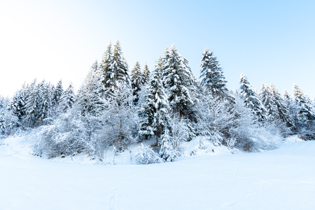 Winter in Oostenrijk 