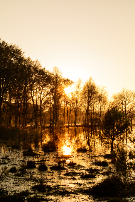 Zonsondergang Leersumse Veld