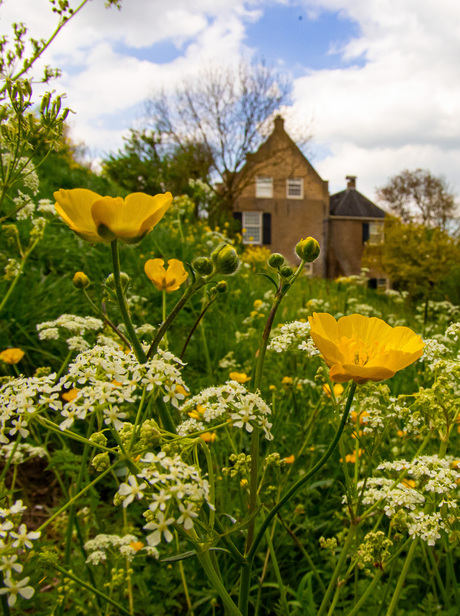 Voorjaar Wiel van Bassa
