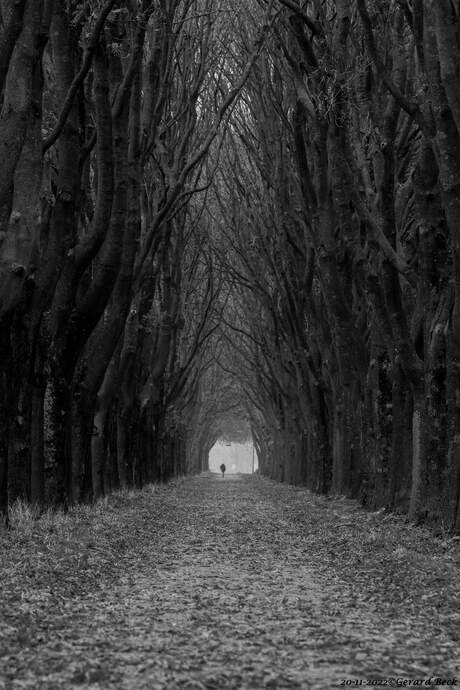 Eenzame wandelaar in de herfst