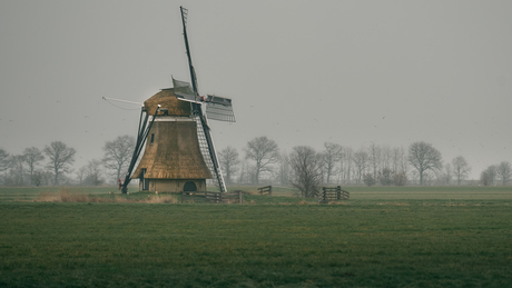 Molen Het Zwaantje