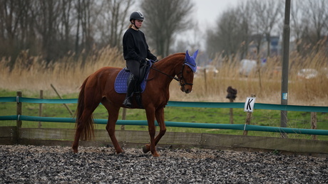 lenstest |Sigma 70-200 | F2.8