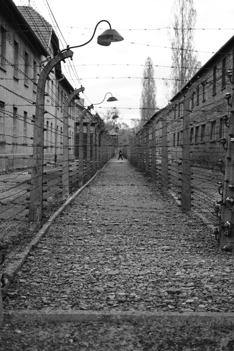 auschwitz