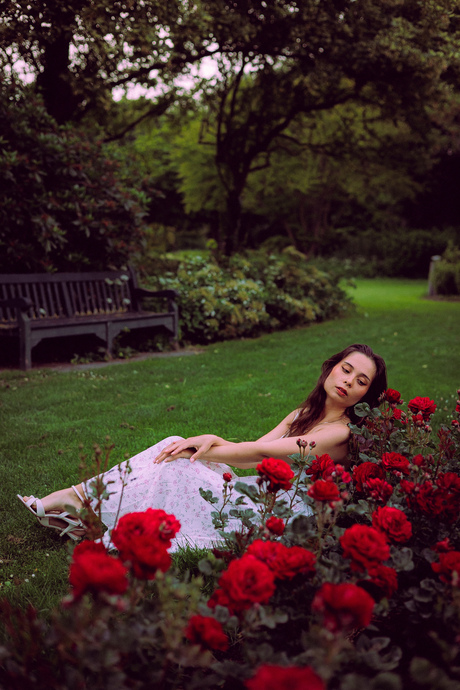 Rose lady