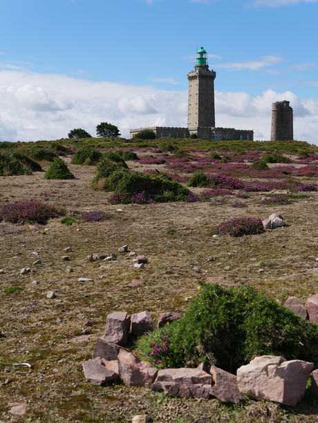 Cap Fréhel