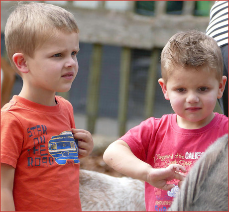 als je kinderen.............................