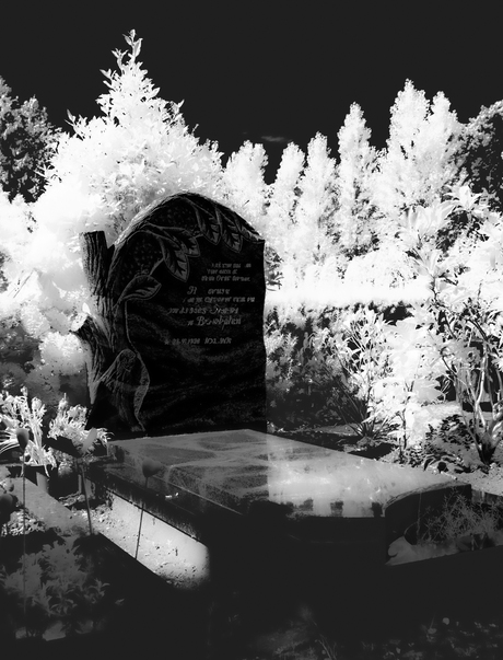 In de schaduw van het gesternte/verstilde getuigen