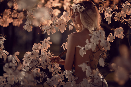 Lost in the softness of spring