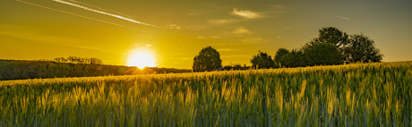 rising sun
