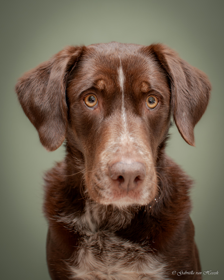 What??? No more treats?