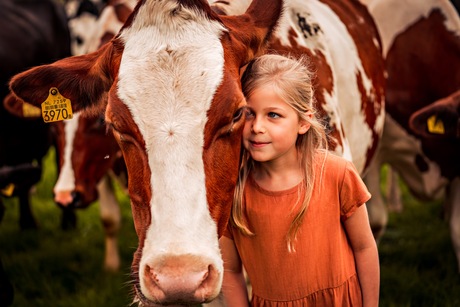 Wanneer je opgroeit met koeien 