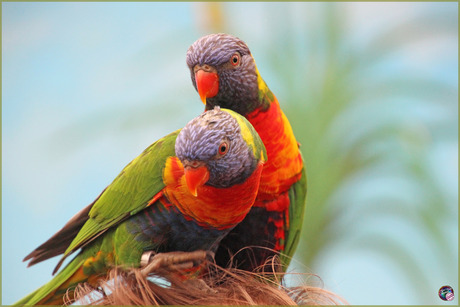 Interessant nestmateriaal …