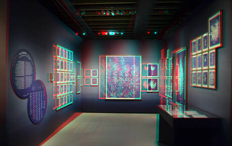 FOTOMUSEUM Rotterdam 2026 3D  anaglyph 