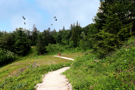 Franse Jura