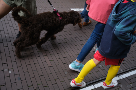 Urban Photo Race 2021: Den Haag/Scheveningen