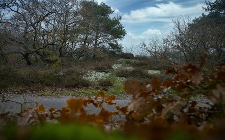 Wat zal ik nu eens proberen.