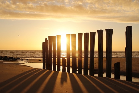 Geluksmomentje aan zee