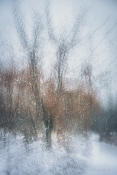 abstracte winter