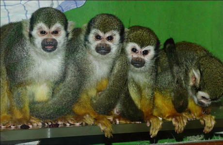 nog even wachten hoor......................