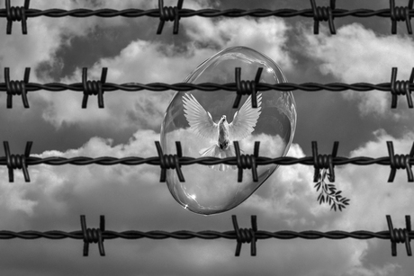 Vrijheid is niet Vrij