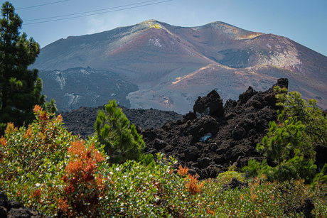 Tojagaite, La Palma