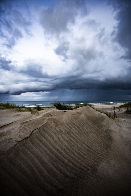 Duinen