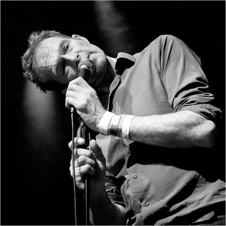 Joy Division Undercover [236]
