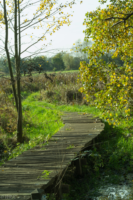 in de wandeling