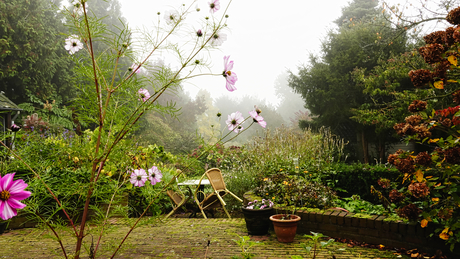 Tuin in de mistige ochtend 