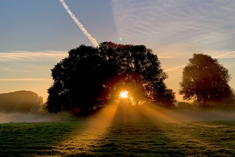 Misty Morning