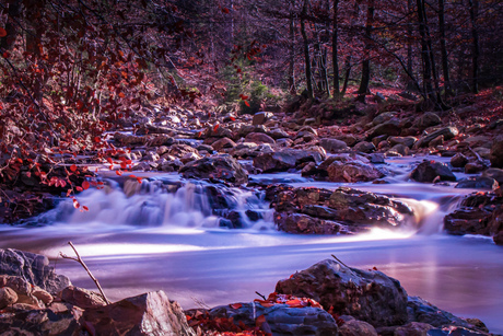 Rivier de Getzbach in de Hoge Venen (anders uitgesneden)