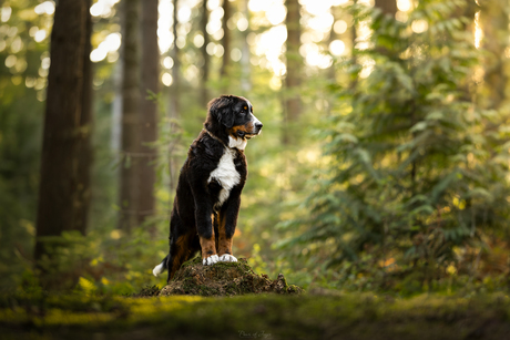 Power of Calmness 💛