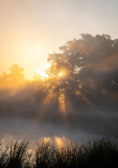 ZONSOPKOMST 
