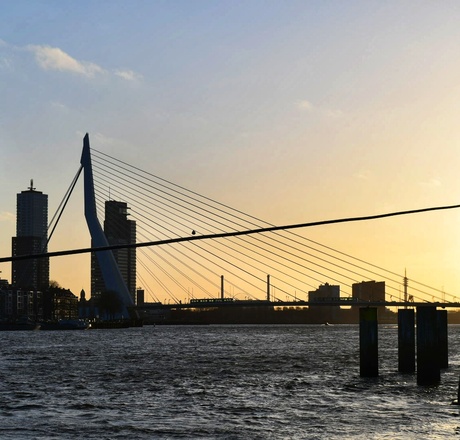 Rotterdam