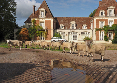 Damens even poseren voor de  fotograaf.