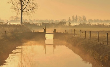 Fietser met hond in nevelig landschap