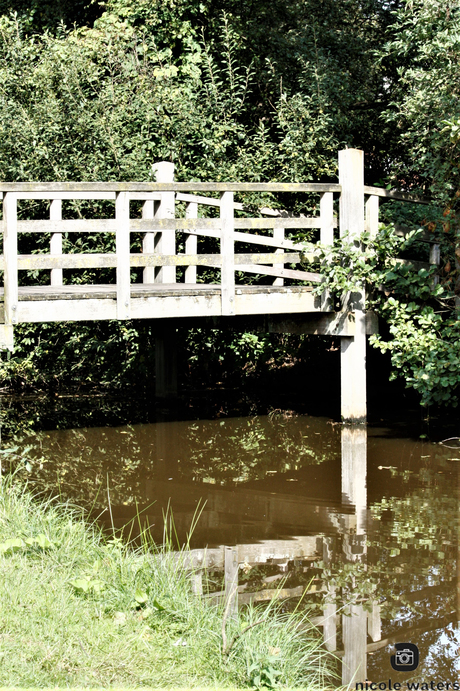 weer spiegeling met brug en water