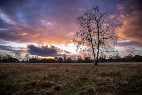 Heide avond