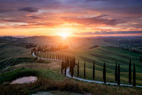 Tuscan Sunset