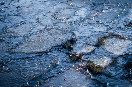 IJS Pancakes in color