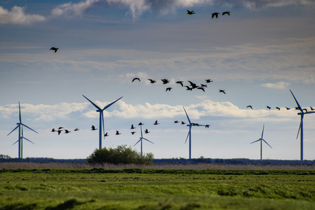 Windenergie 