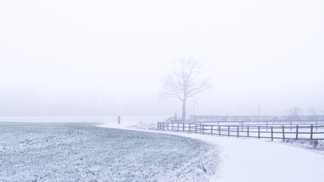 Alleen in de sneeuw