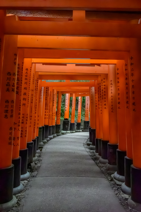 Japan - Kyoto, Fushimi Inari, Senbon Torii