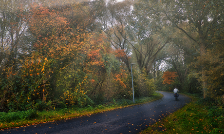 Fietser in de herfst